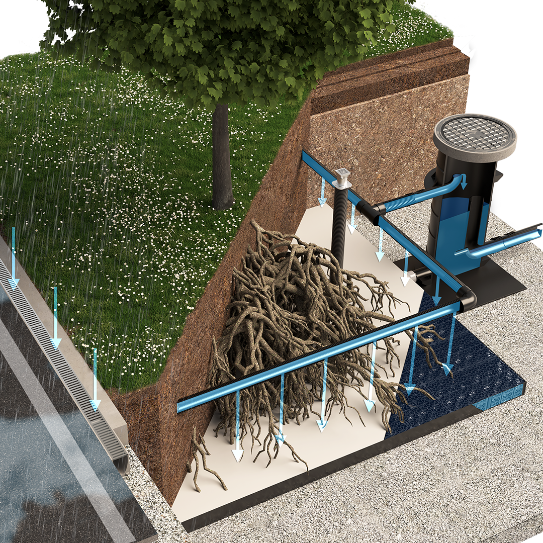 ArborFlow Baumrigole für unbefestigte Flächen Wasserfluss