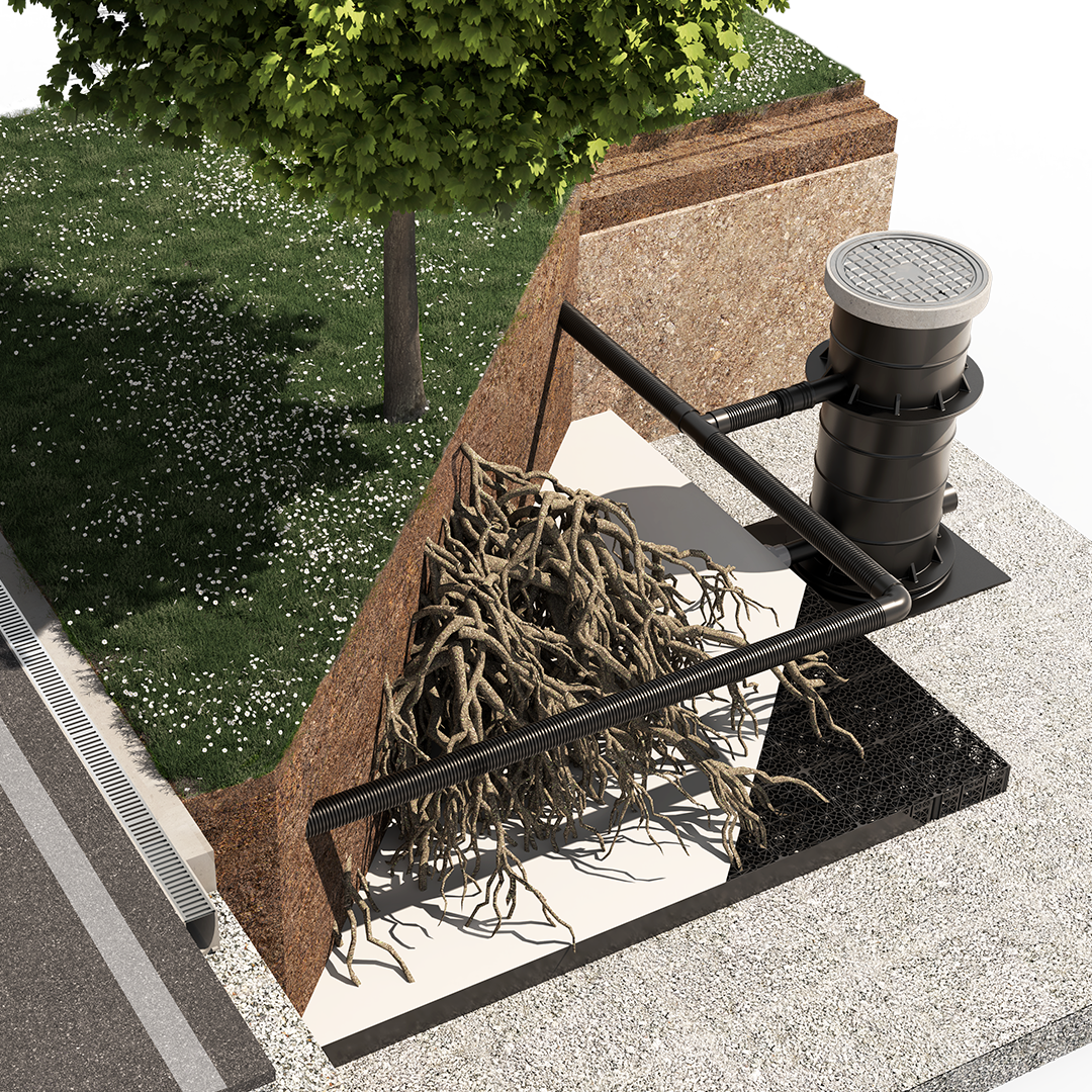 ArborFlow Baumrigole für unbefestigte Flächen Aufsicht