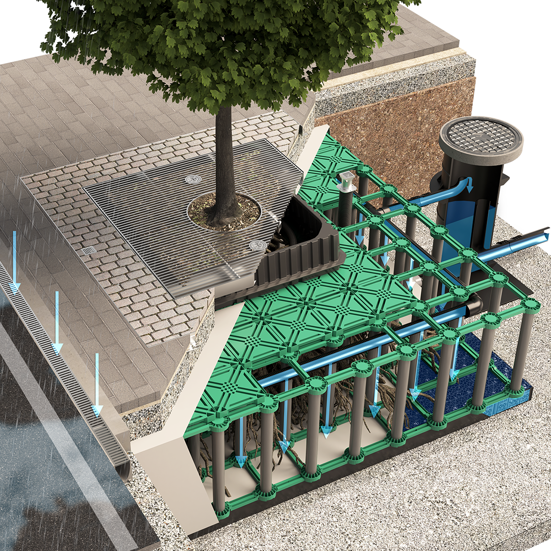 ArborFlow Baumrigole Perspektive Wasser