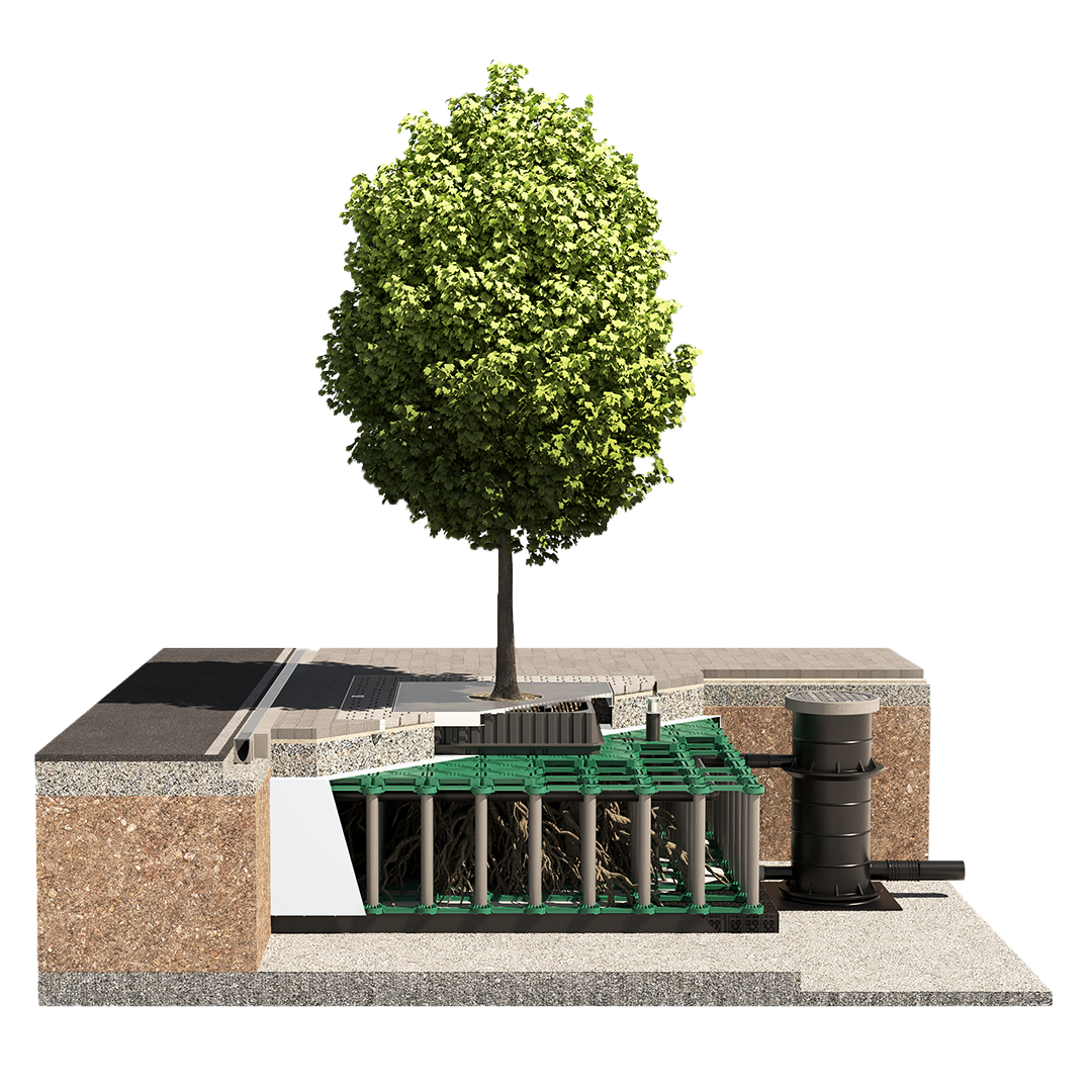 ArborFlow Baumrigole überbaut frontal