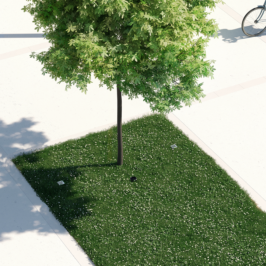 Baumpflanzung in unbefestigten Flächen – Szene