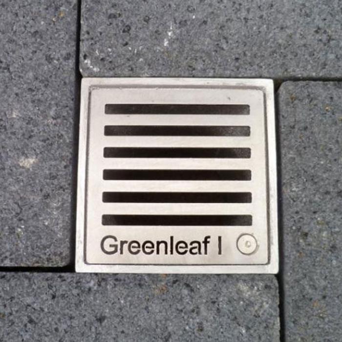 Warum ist eine Wurzelbelüftung so wichtig für Bäume?