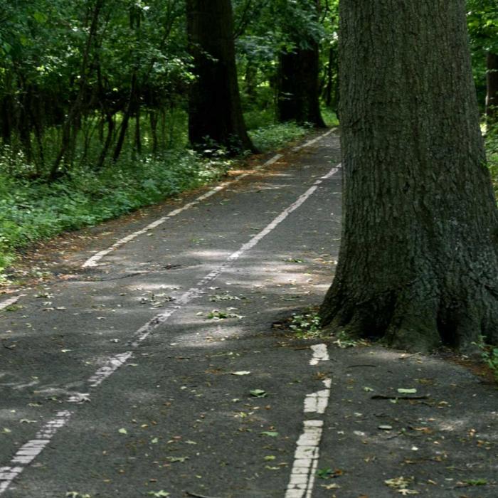 Header ArborGrid