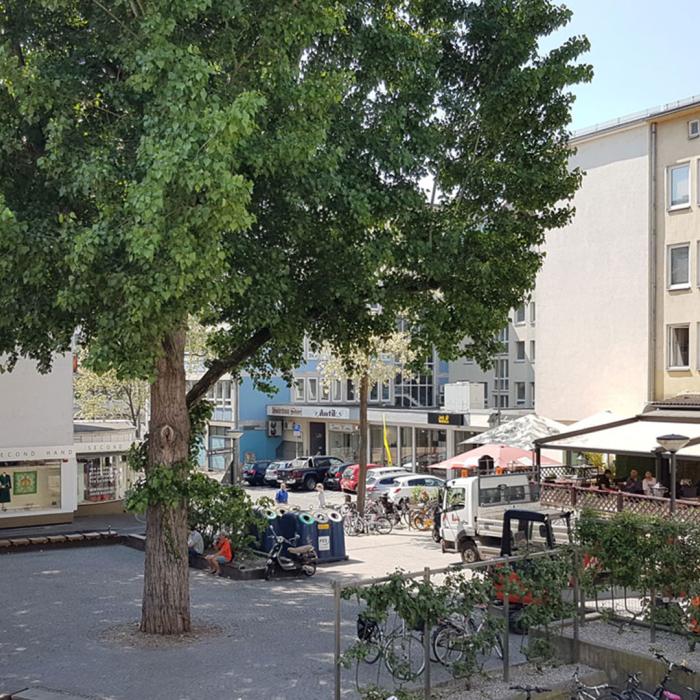 Der 6-Punkte-Plan für Baumpflanzungen in der Stadt