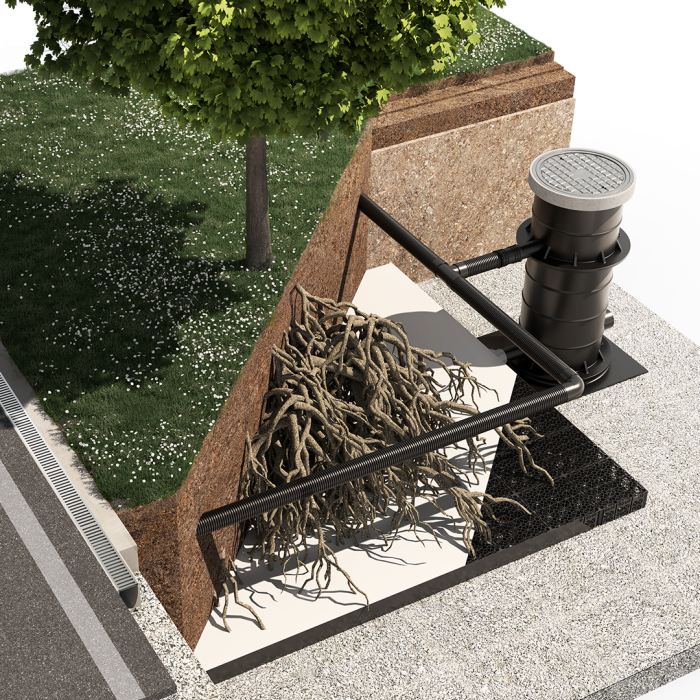 ArborFlow Baumrigole für unbefestigte Flächen Aufsicht
