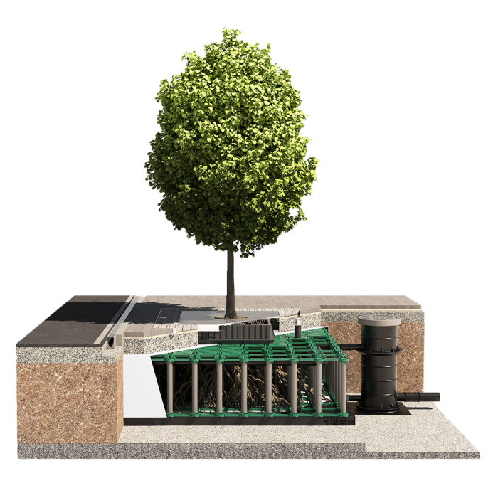 ArborFlow Baumrigole überbaut frontal