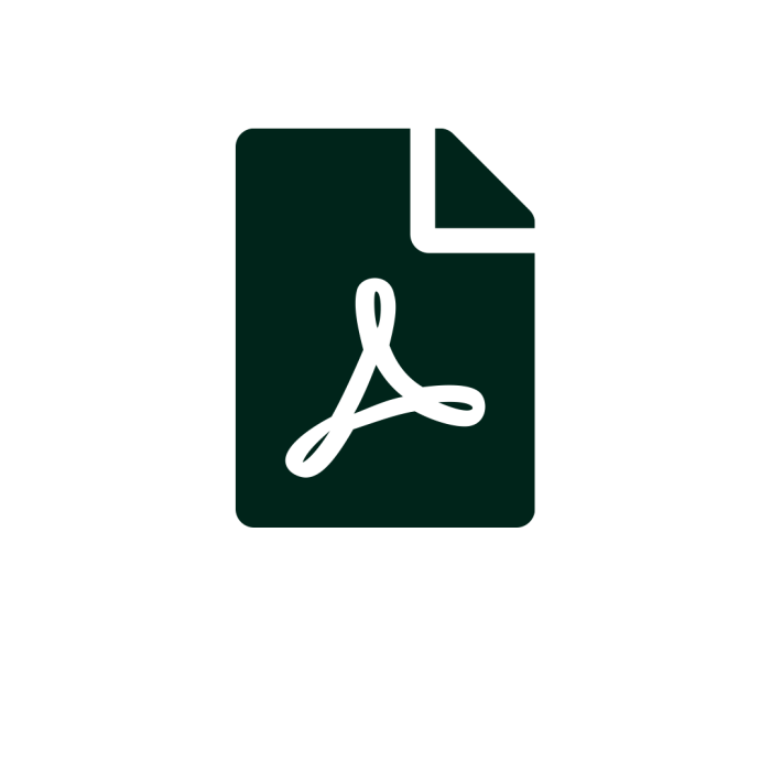 Datenblatt Icon