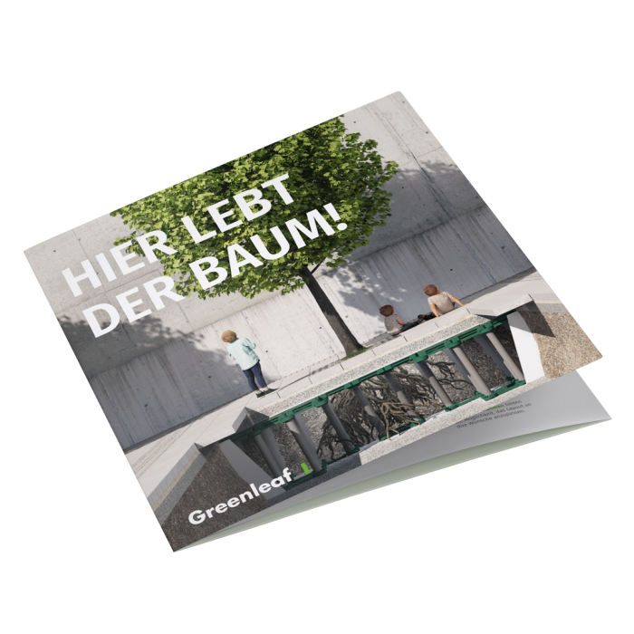 Titelbild RootBox Flyer