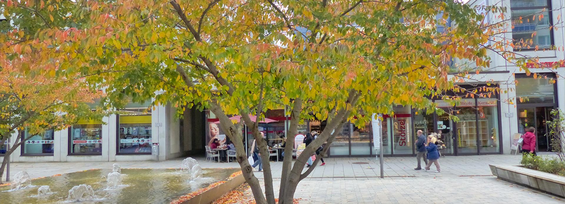 Referenz: Rosenhof Chemnitz, ArborGrid Wurzelbrücke in offener Bauweise