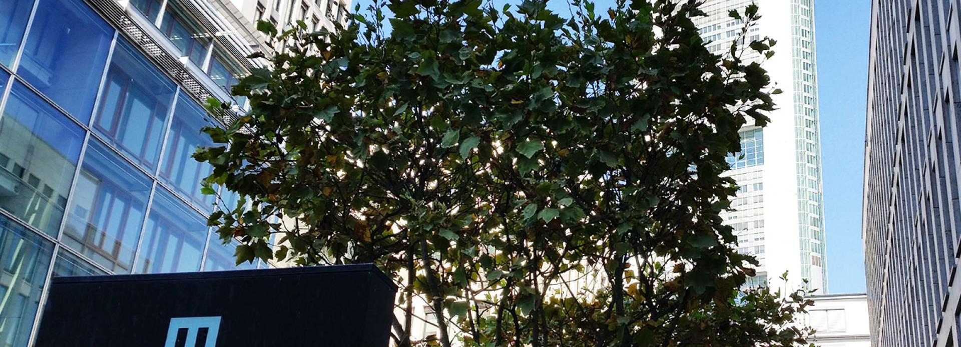 Referenz: Maintor, Frankfurt am Main