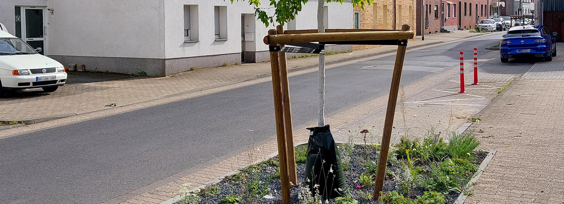 Referenz: Baumbeete, Würselen mit ArborFlow für Grünflächen