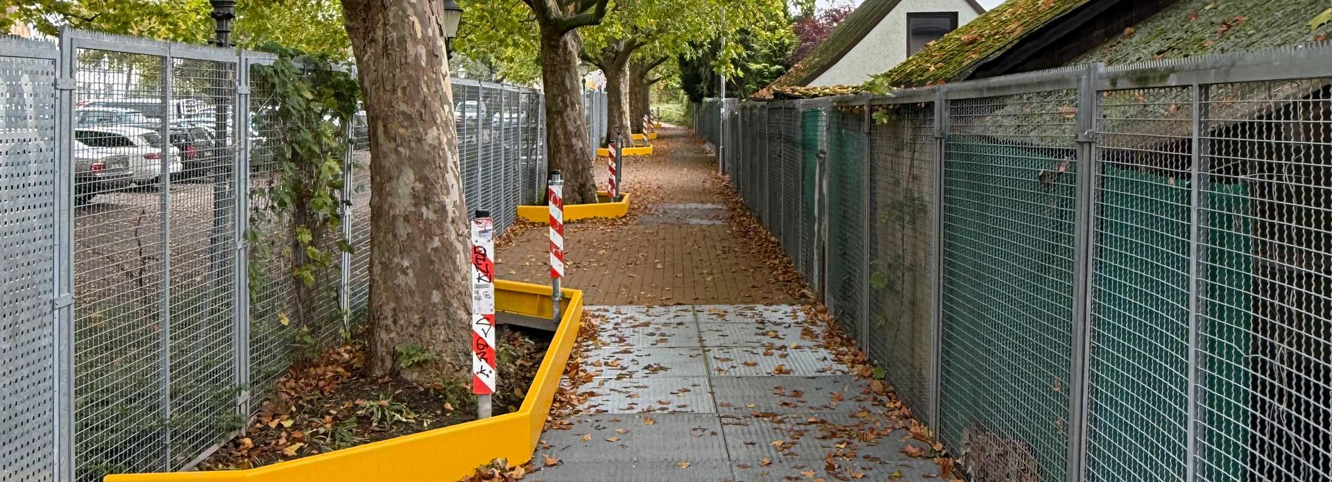 Referenz: Ringgleis, Braunschweig, Radweg mit ArborGrid in offener Bauweise und überbaut