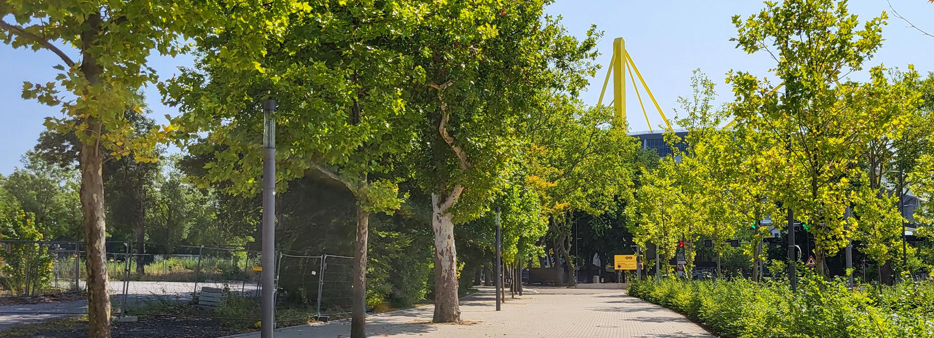 Referenz: Strobelallee, Dortmund, ArborGrid Wurzelbrücken