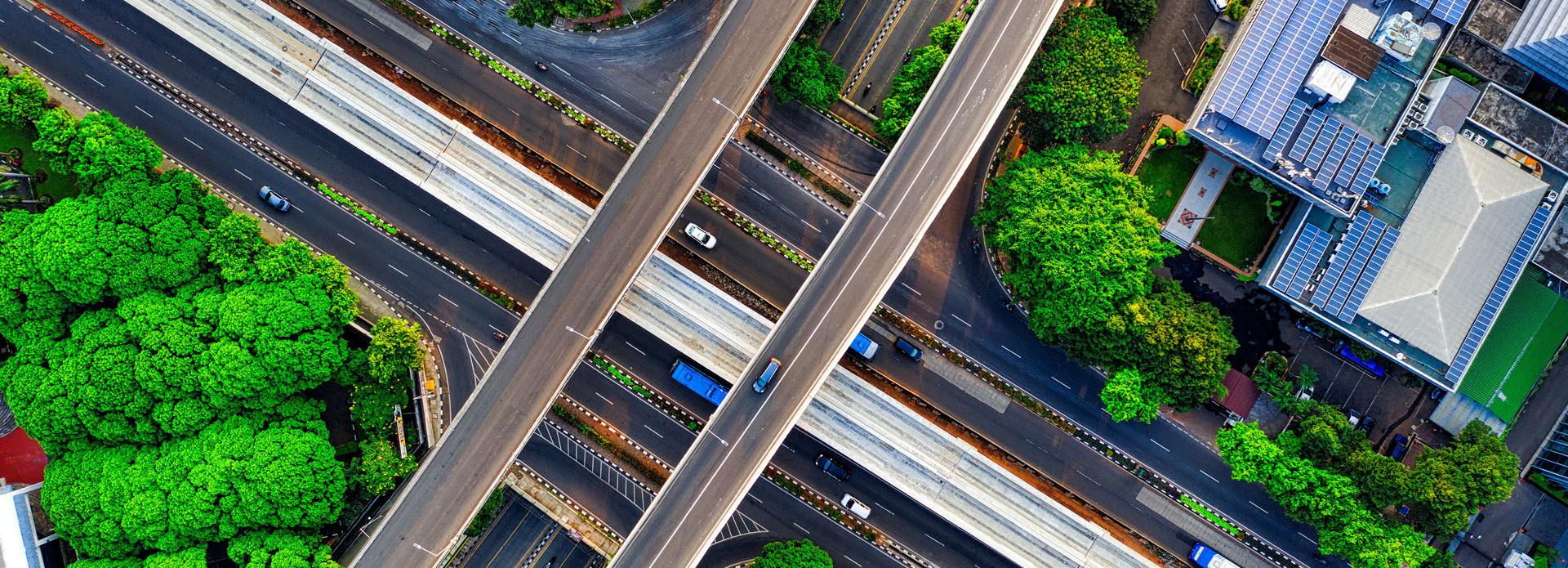 Bäume als Lärmschutz