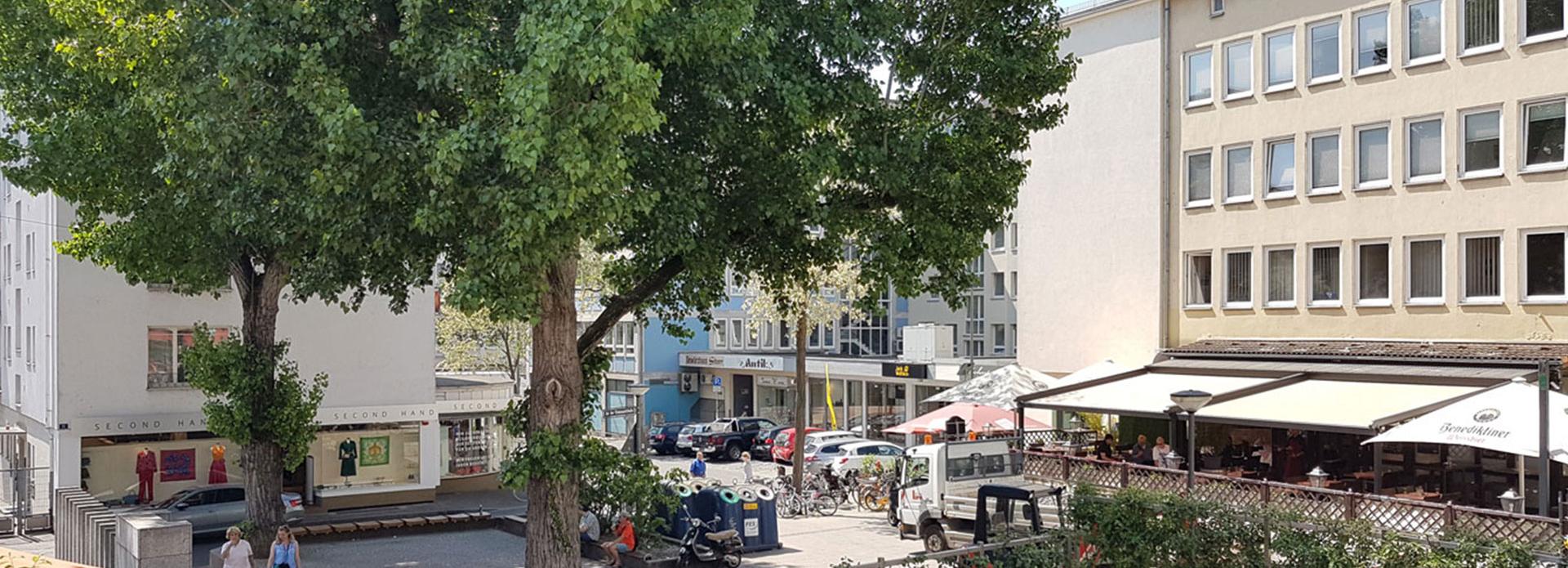 Der 6-Punkte-Plan für Baumpflanzungen in der Stadt