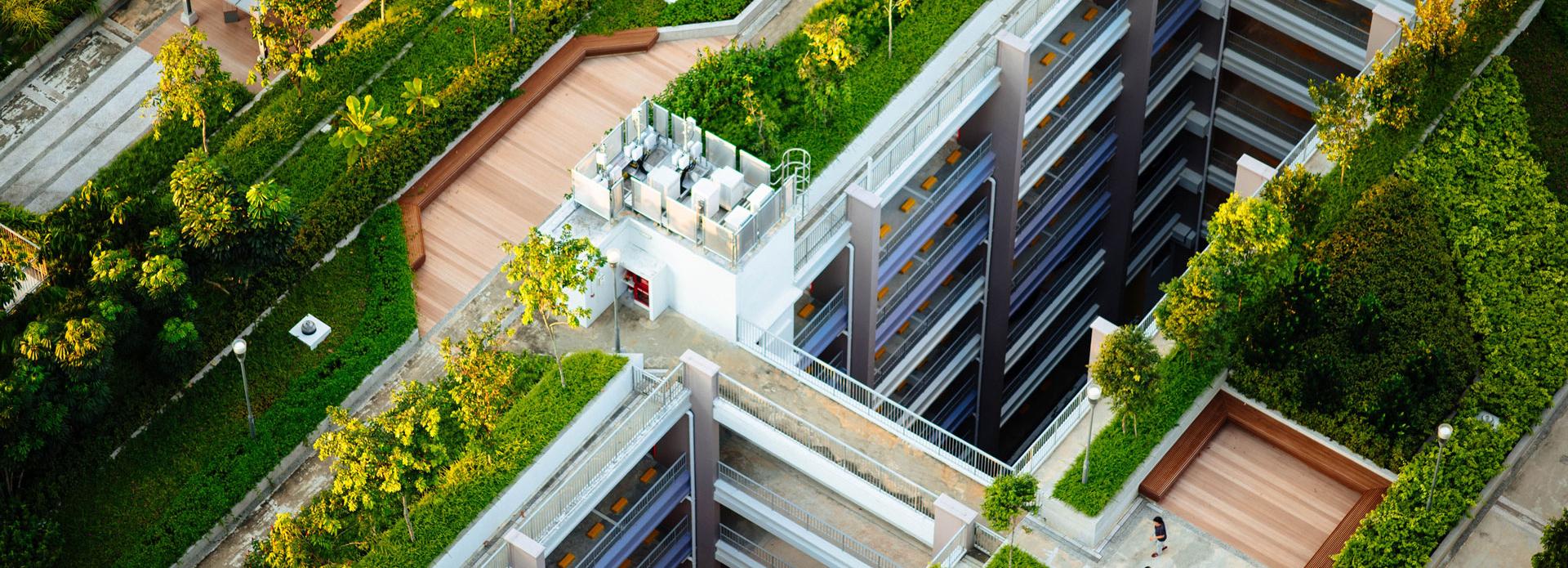 Bäume und Pflanzen auf Dächern