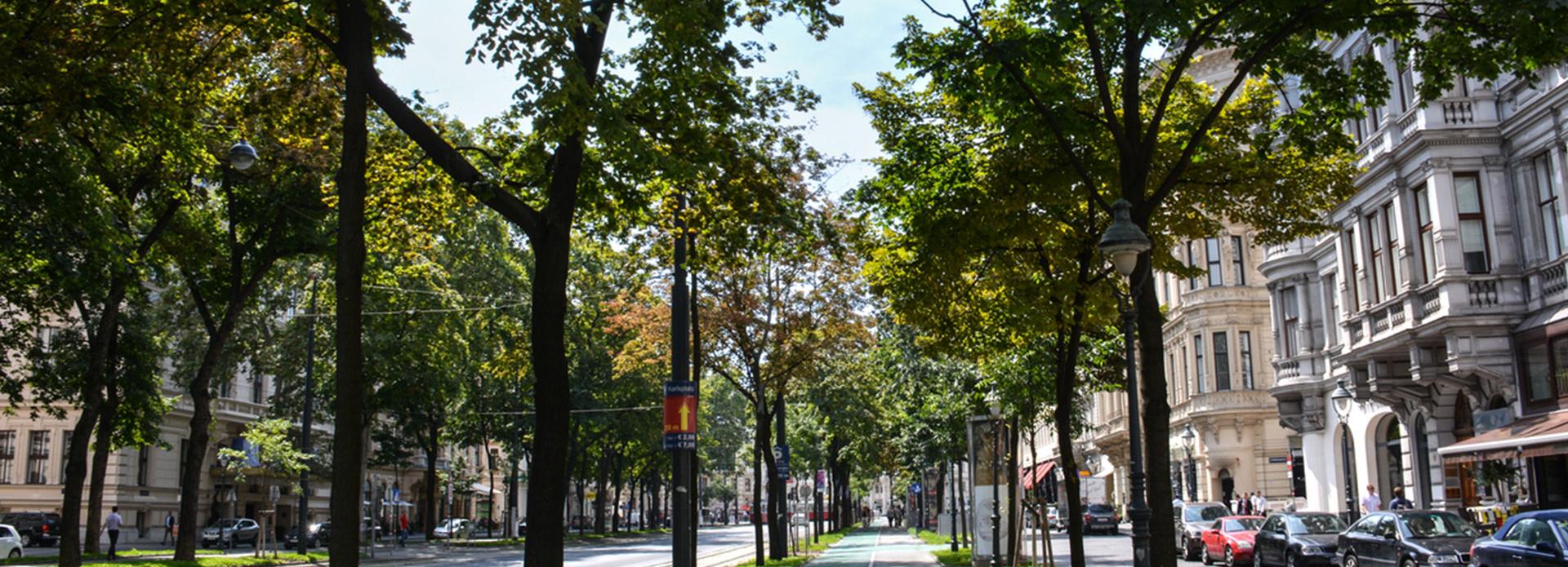 Wurzelschutz – Wie unterscheiden sich die technischen Möglichkeiten?