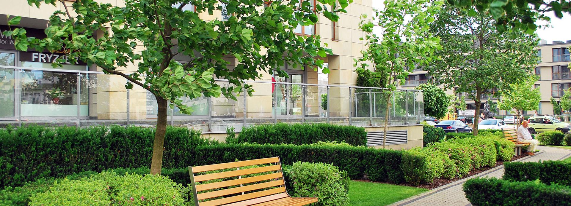 i-Tree – den Wert von Bäumen bestimmen