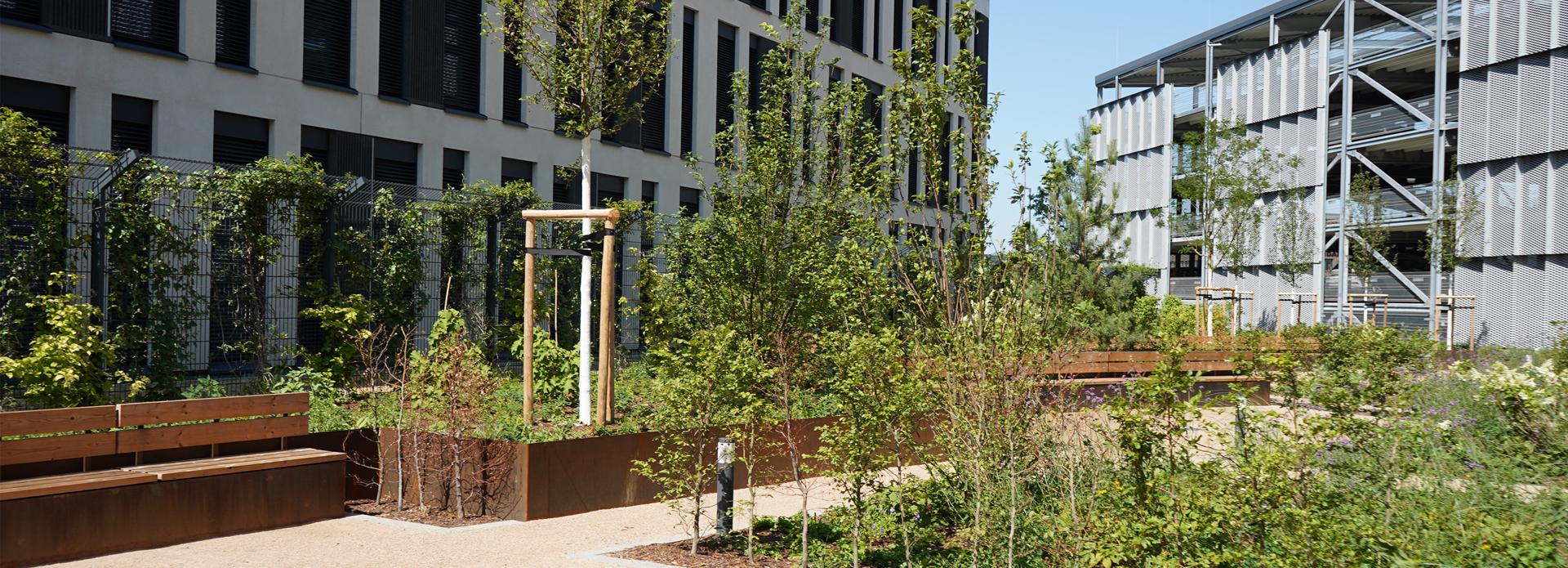 Referenz: Außenanlagen Butweilerhofallee, Köln, Shape Hochbeete aus Corten mit Sitzelementen