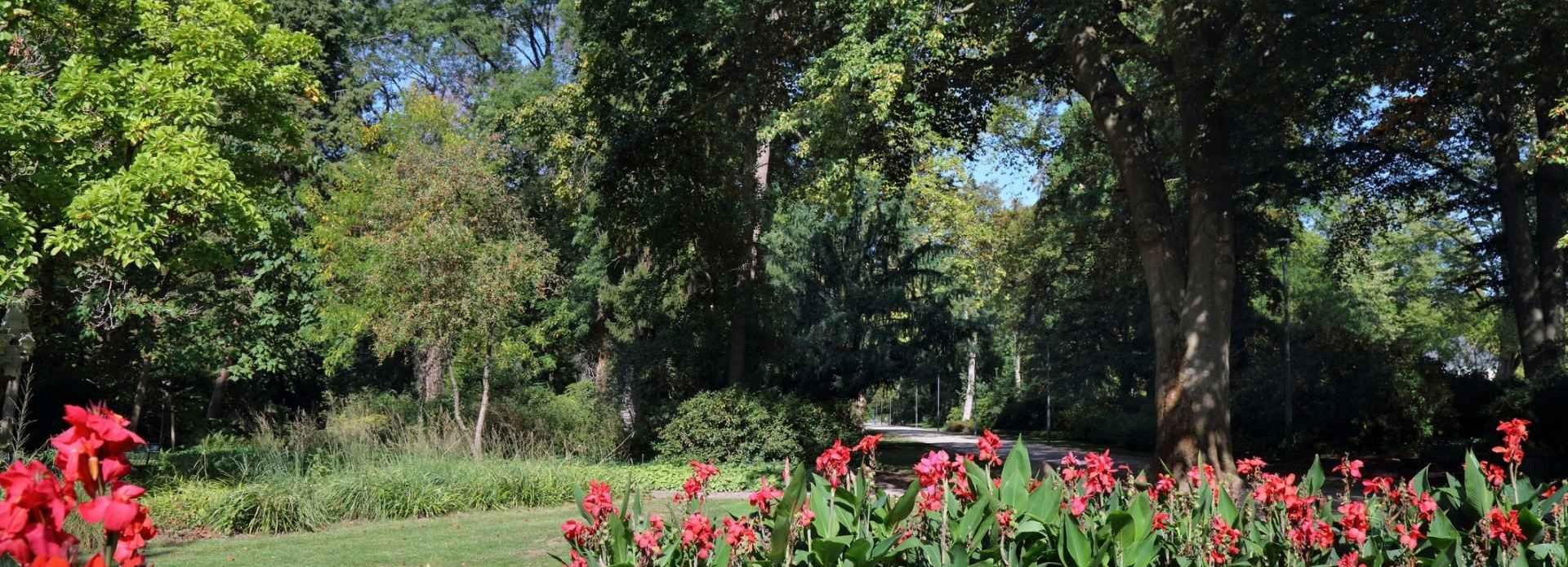 Blühendes Blumenbeet im Stadtpark mit roten und violetten Blumen, umgeben von grünen Bäumen – Symbol für Mikrowälder, Stadtgrün und nachhaltige Landschaftsgestaltung.