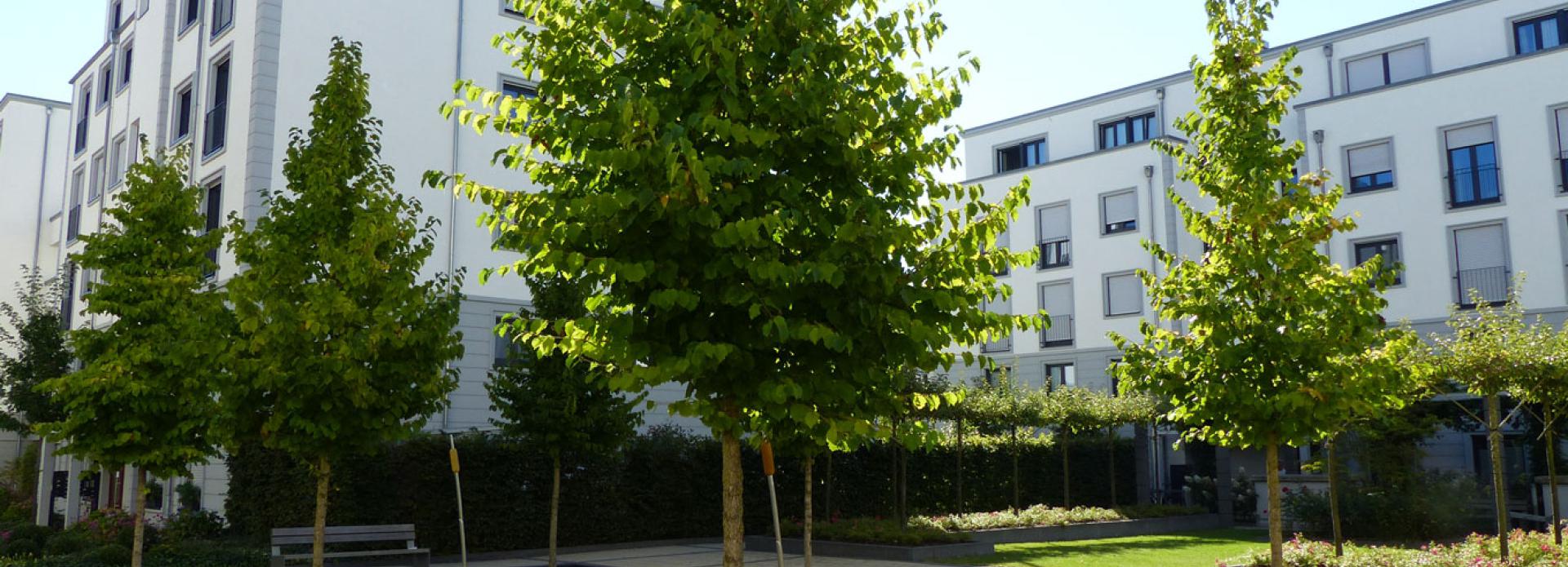 Referenz: Else-Epstein-Weg, Frankfurt