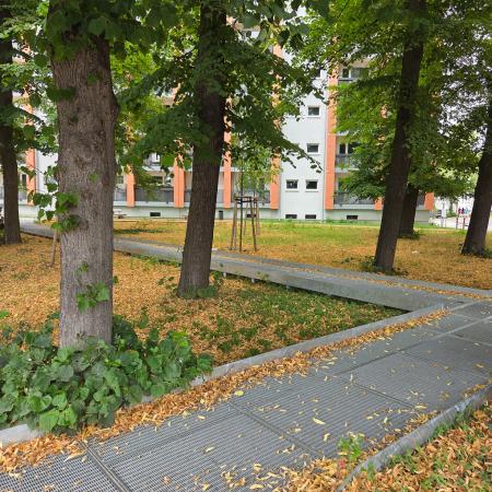 Referenz: Lichtenrader Revier Berlin offene ArborGrid Wurzelbrücke