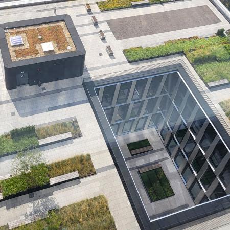 Referenz: LYGHT, Düsseldorf, Shape Hochbeete zur Dachbegrünung