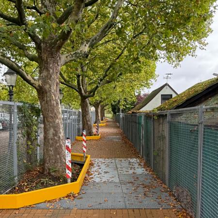 Referenz: Ringgleis, Braunschweig, Radweg mit ArborGrid Wurzelbrücke