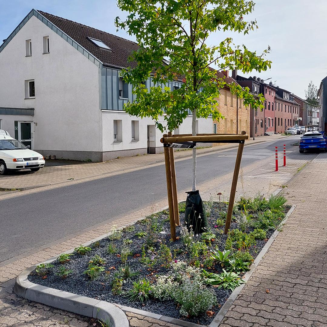 Referenz: Baumbeete, Würselen mit ArborFlow Baumrigole