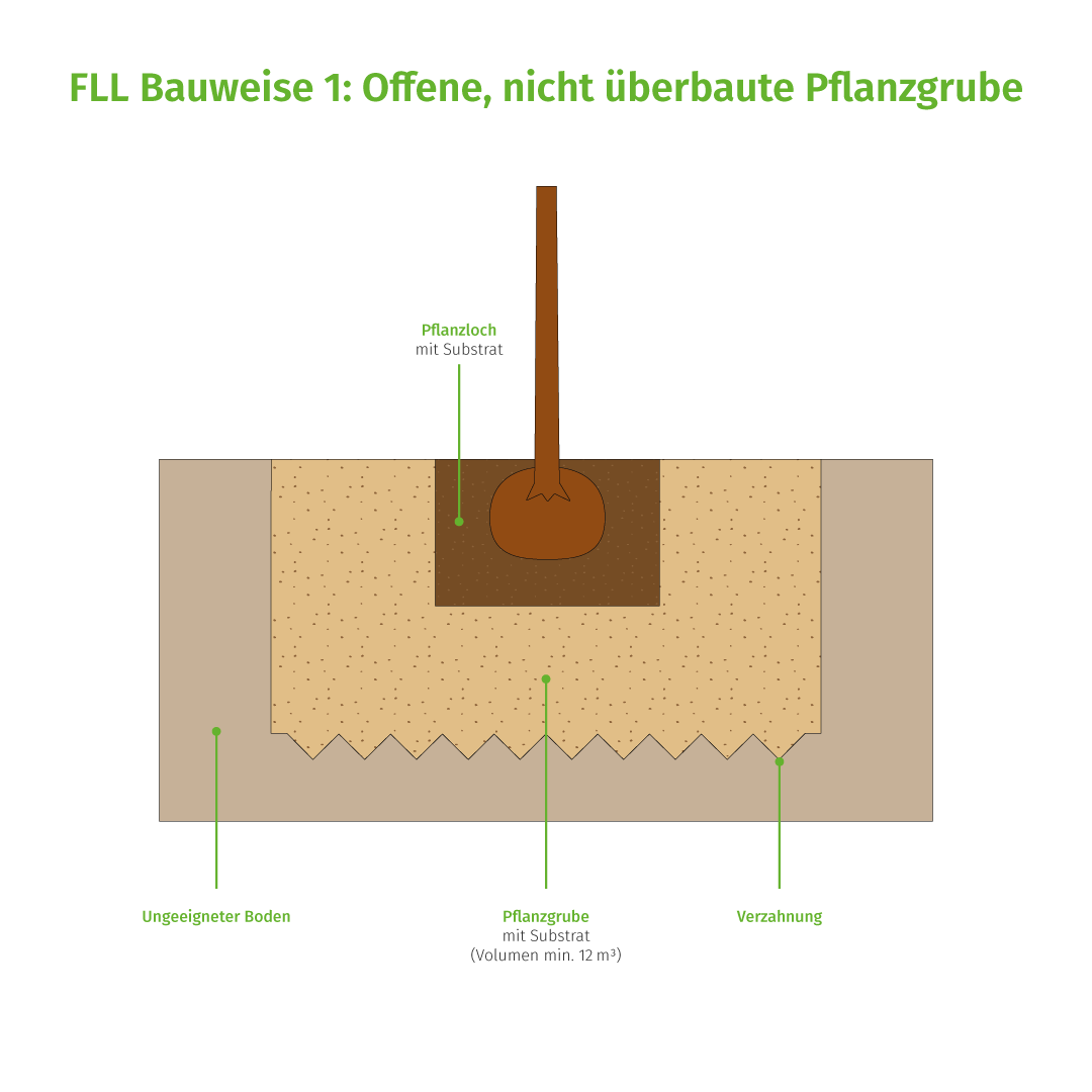 FLL Bauweise 1: Offene Pflanzgrube (Schnitt)