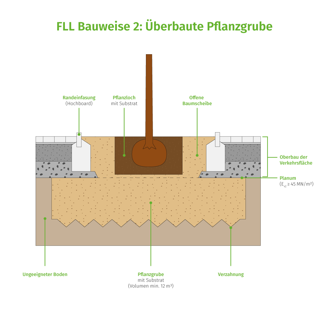FLL Bauweise 2: Überbaute Pflanzgrube (Schnitt)