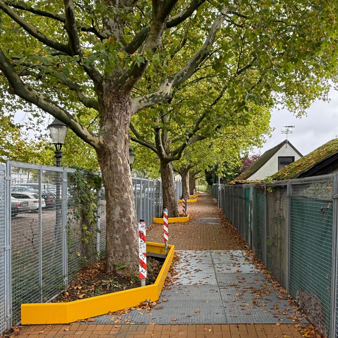 Referenz: Ringgleis, Braunschweig, Radweg mit ArborGrid Wurzelbrücken