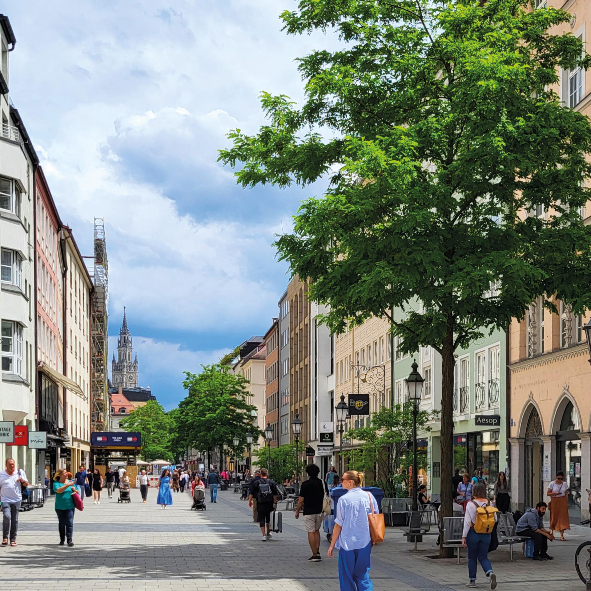 Referenz: Sendliner Straße, München, Baumstandorte mit RootSpace Wurzelkammersystem