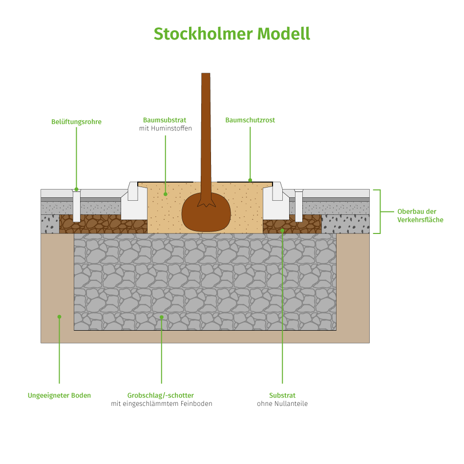 Stockholmer Modell (Schnitt)