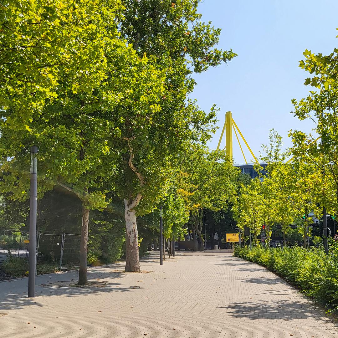 Referenz: Strobelallee, Dortmund, ArborGrid Wurzelbrücken