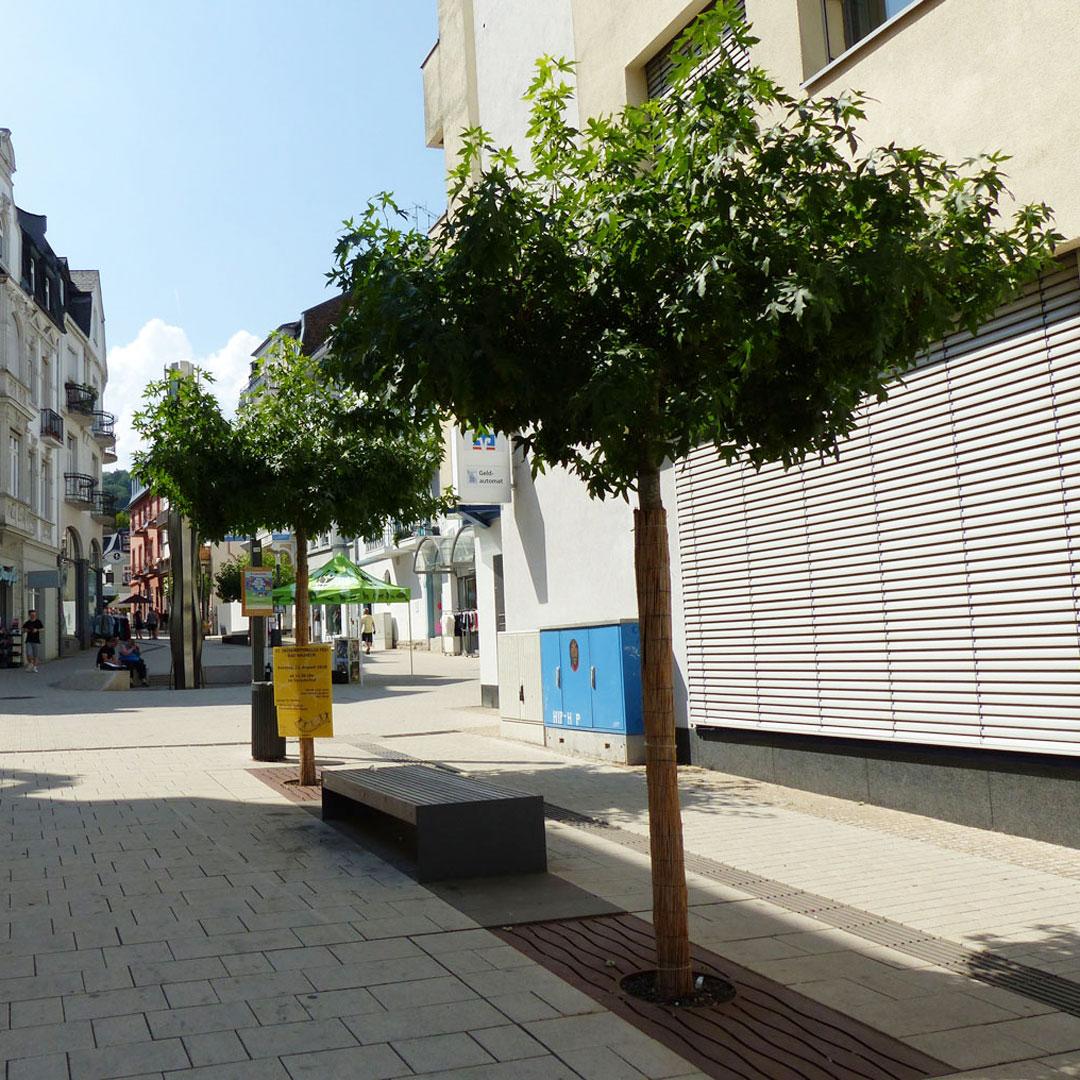 Referenz: Bad Nauheim, Stresemannstr