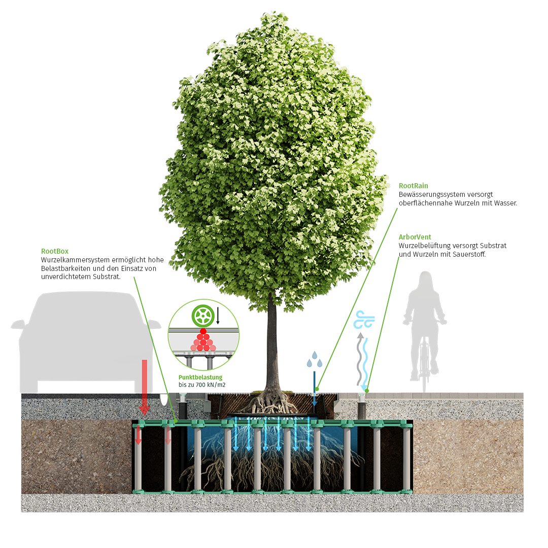 Funktionsweise Baumpflanzung überbaut