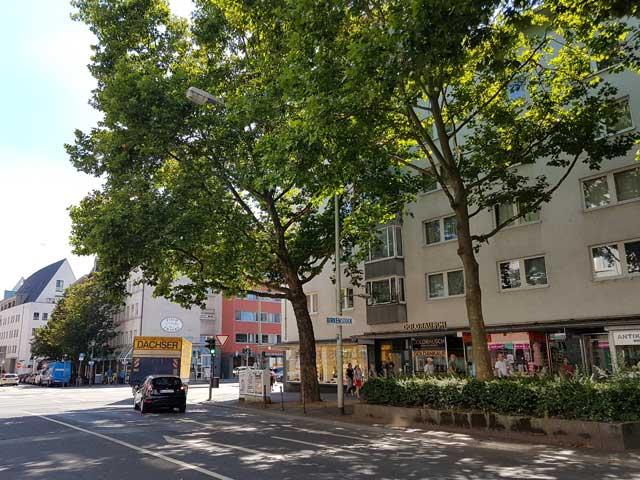 Schattenspendende Bäume in der Stadt