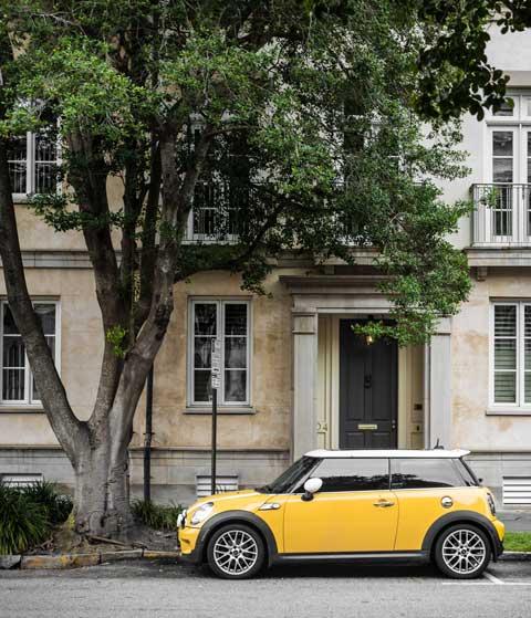 Steigerung des Imbobilenwertes durch Bäume