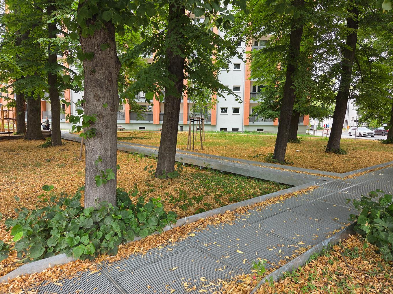Referenz: Lichtenrader Revier Berlin offene ArborGrid Wurzelbrücke