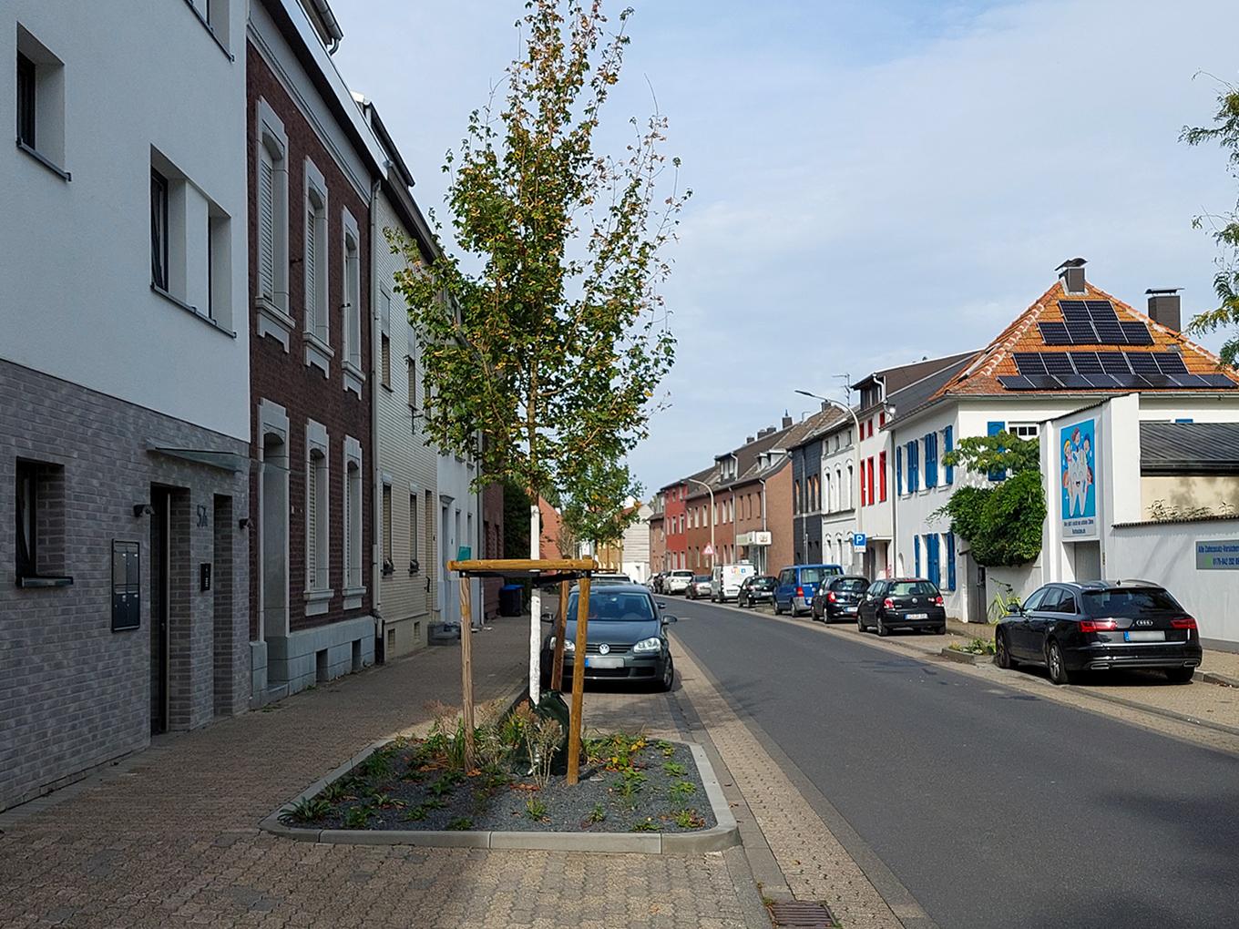 Referenz: Baumbeete, Würselen mit ArborFlow Baumrigole