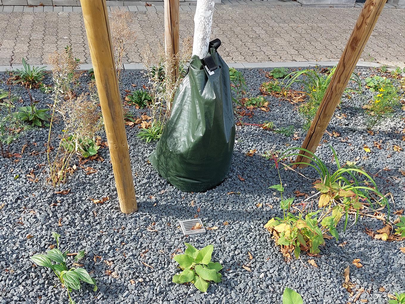 Referenz: Baumbeete, Würselen mit ArborFlow Baumrigole