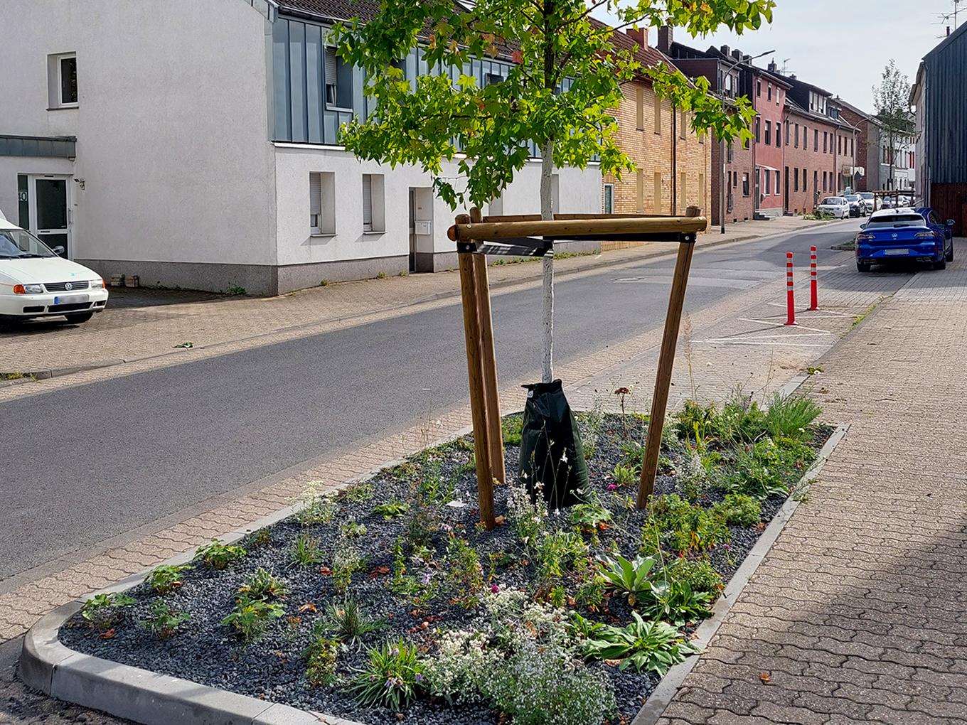 Referenz: Baumbeete, Würselen mit ArborFlow Baumrigole
