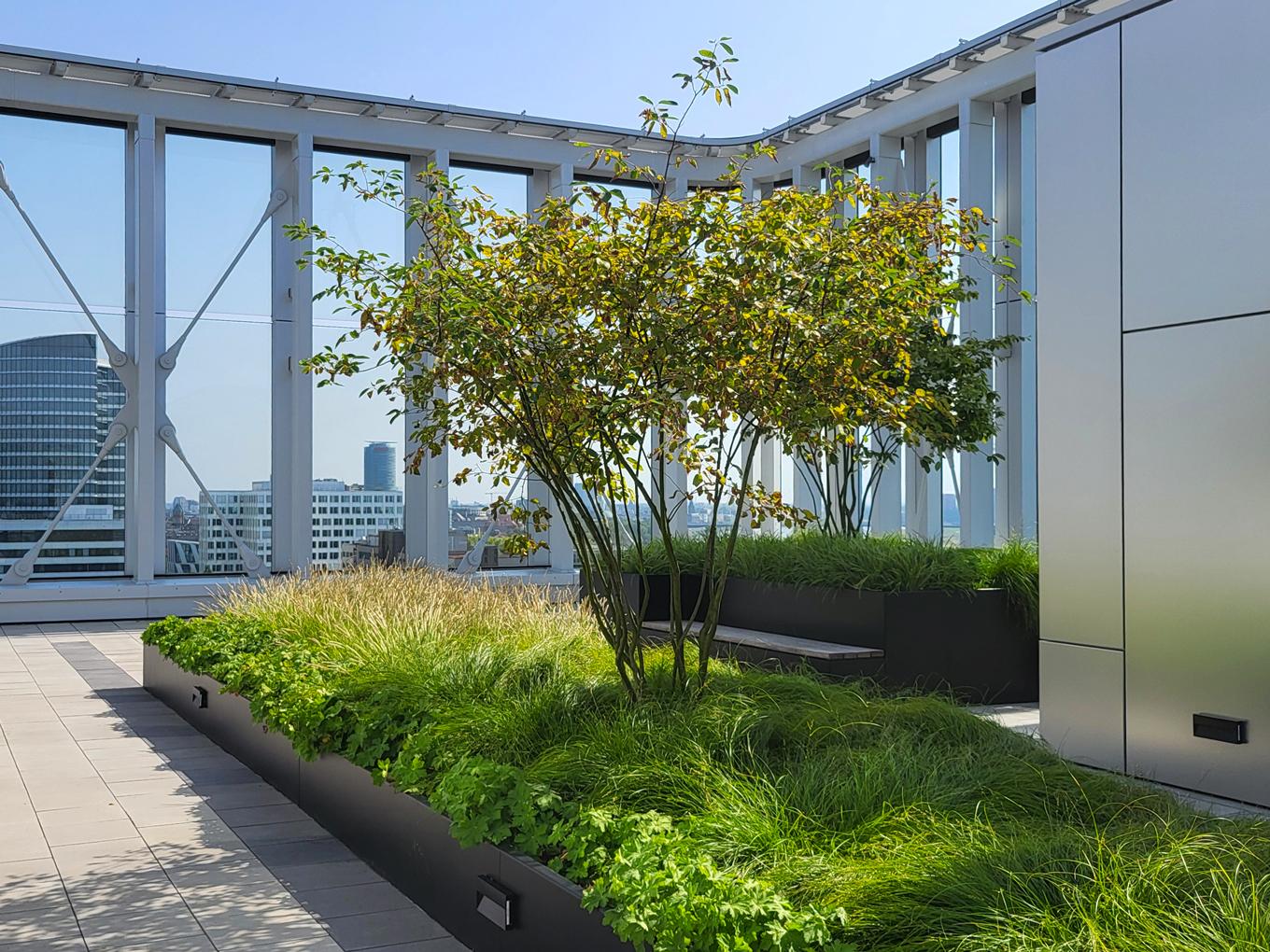 Referenz: LYGHT, Düsseldorf, Shape Hochbeete zur Dachbegrünung