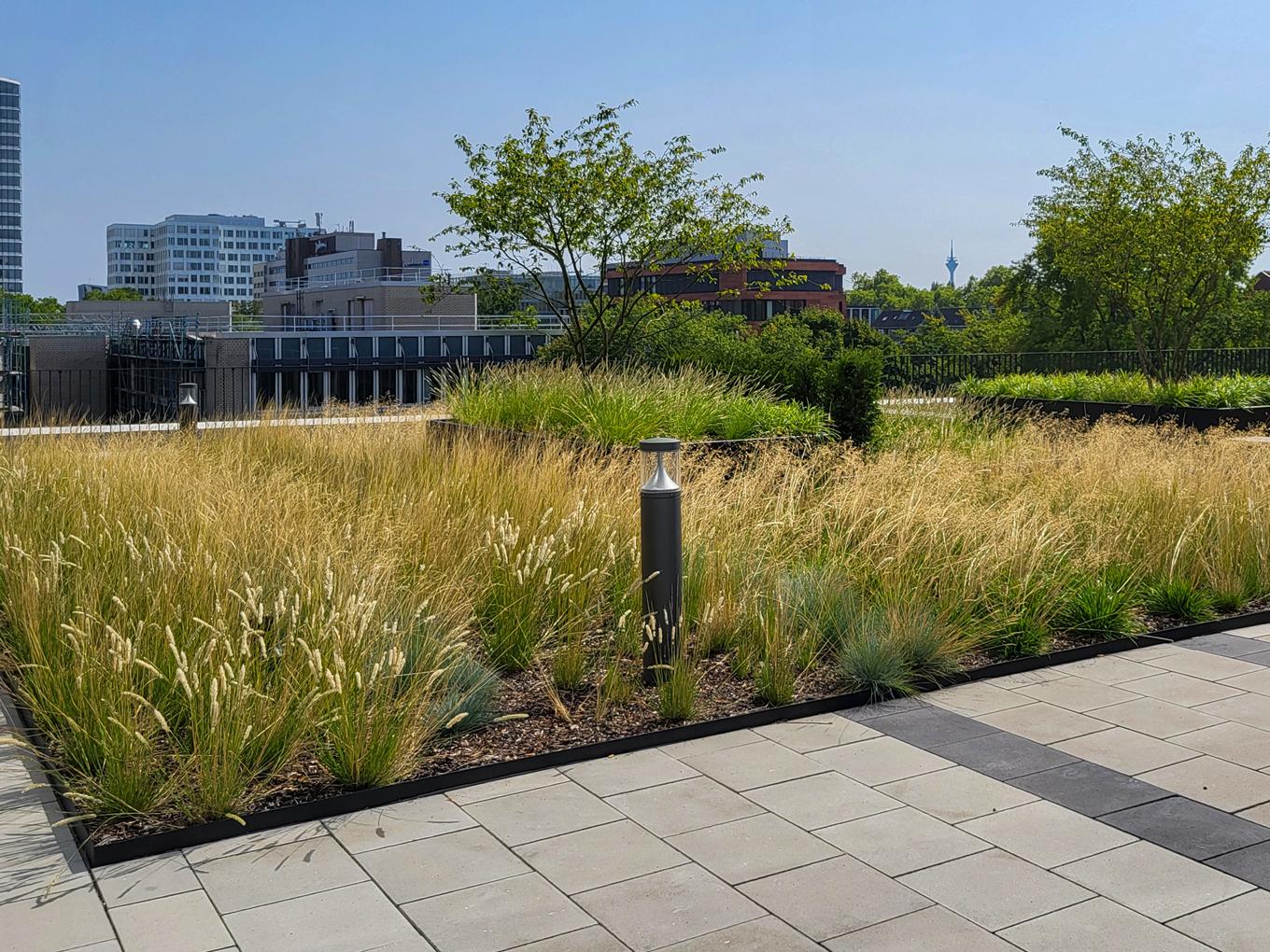 Referenz: LYGHT, Düsseldorf, Shape Hochbeete zur Dachbegrünung