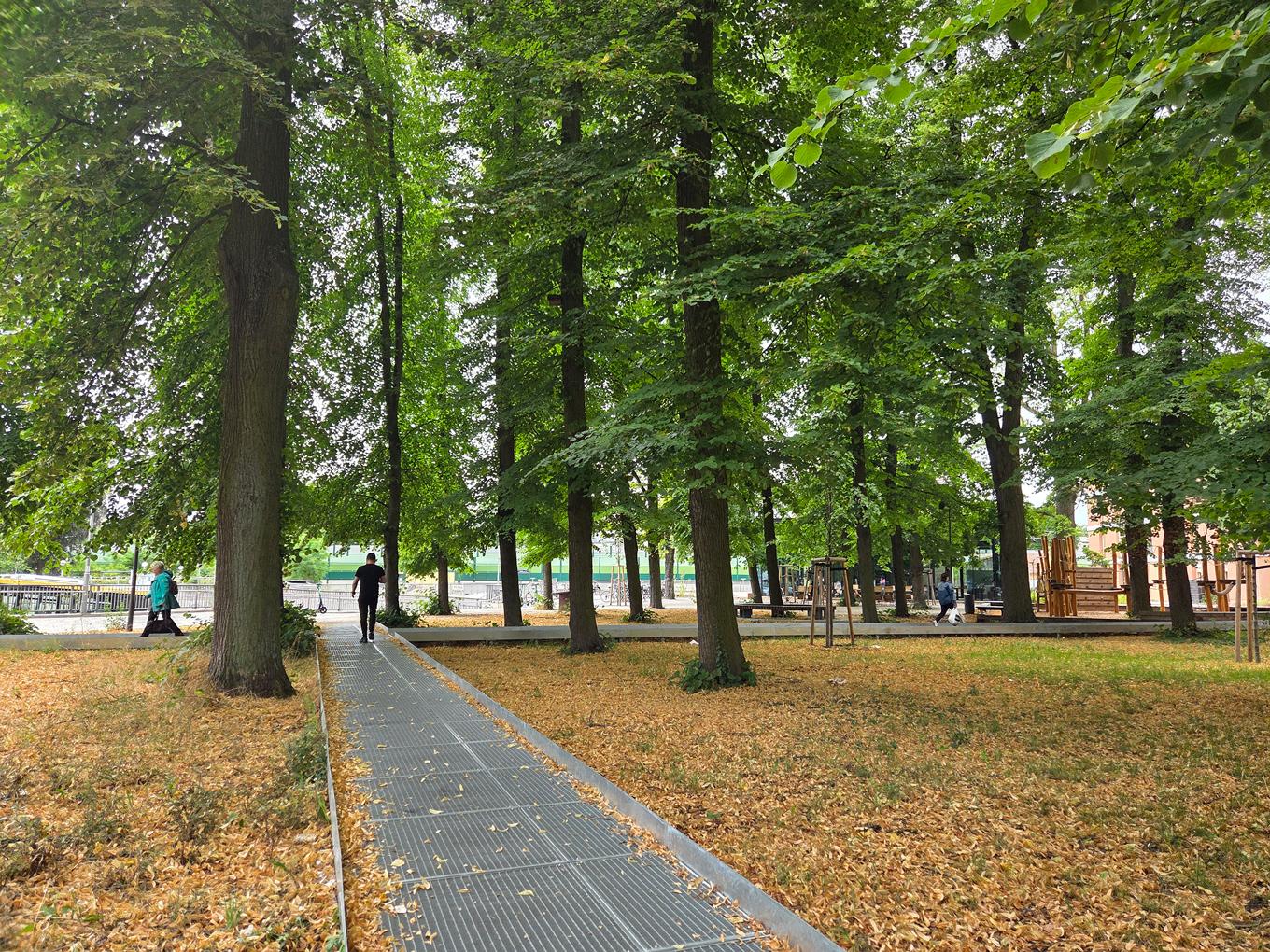 Referenz: Lichtenrader Revier Berlin offene ArborGrid Wurzelbrücke