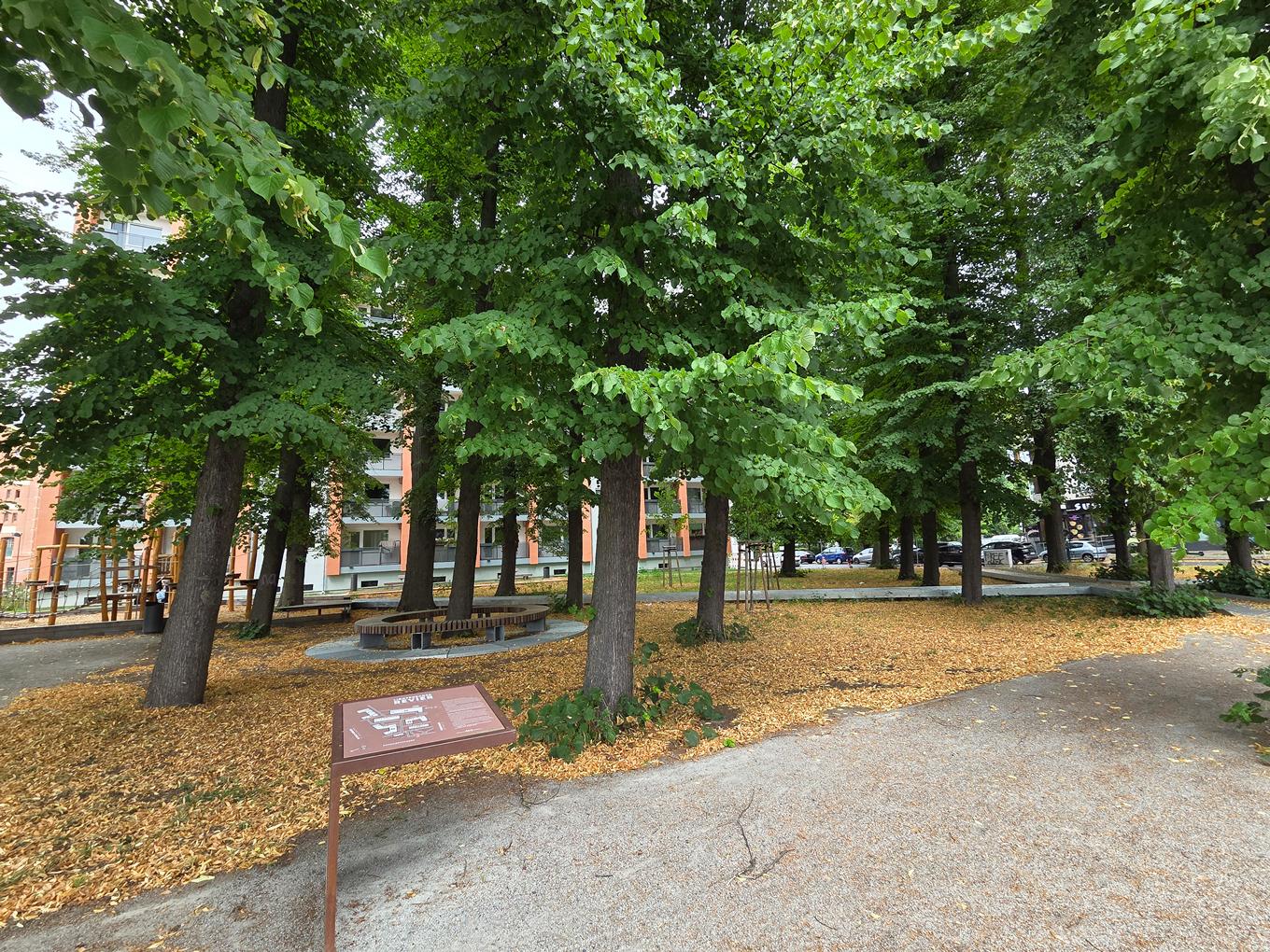 Referenz: Lichtenrader Revier Berlin offene ArborGrid Wurzelbrücke
