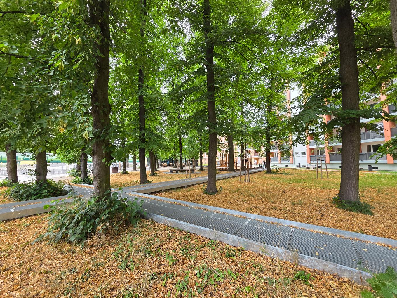 Referenz: Lichtenrader Revier Berlin offene ArborGrid Wurzelbrücke