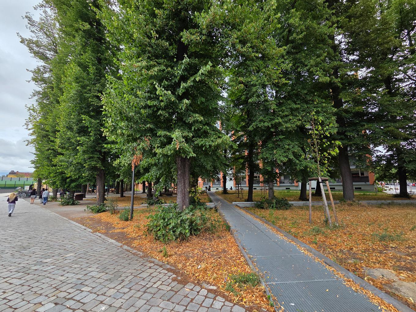 Referenz: Lichtenrader Revier Berlin offene ArborGrid Wurzelbrücke