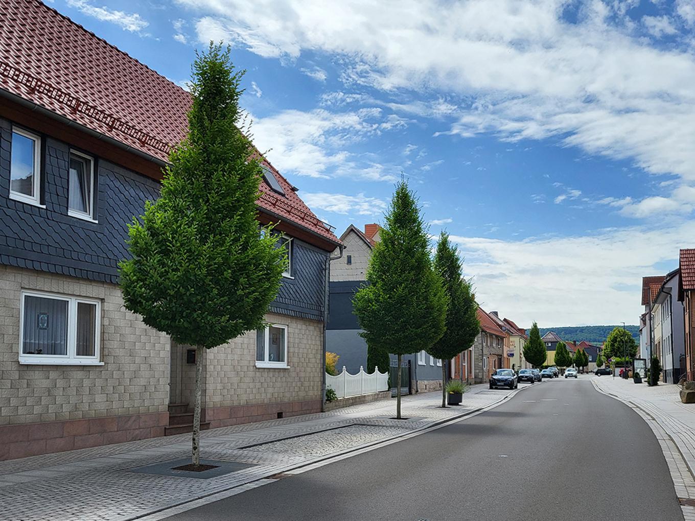 Referenz: Hauptstrasse, Niederorschel, Baumstandorte mit RootSpace 2025